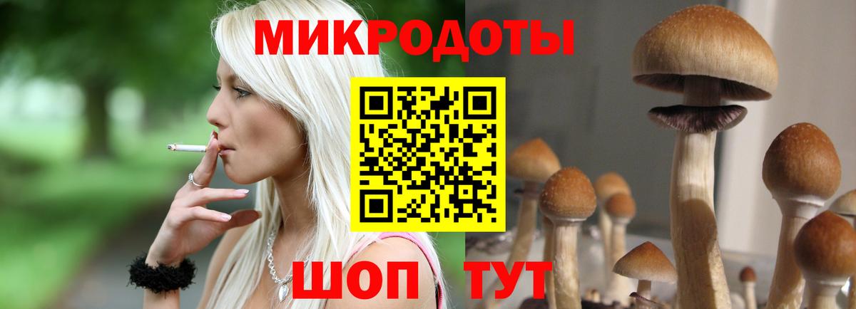 Псилоцибиновые грибы ЛСД  Вход с VPN  дарнет шоп  Приморско-Ахтарск 